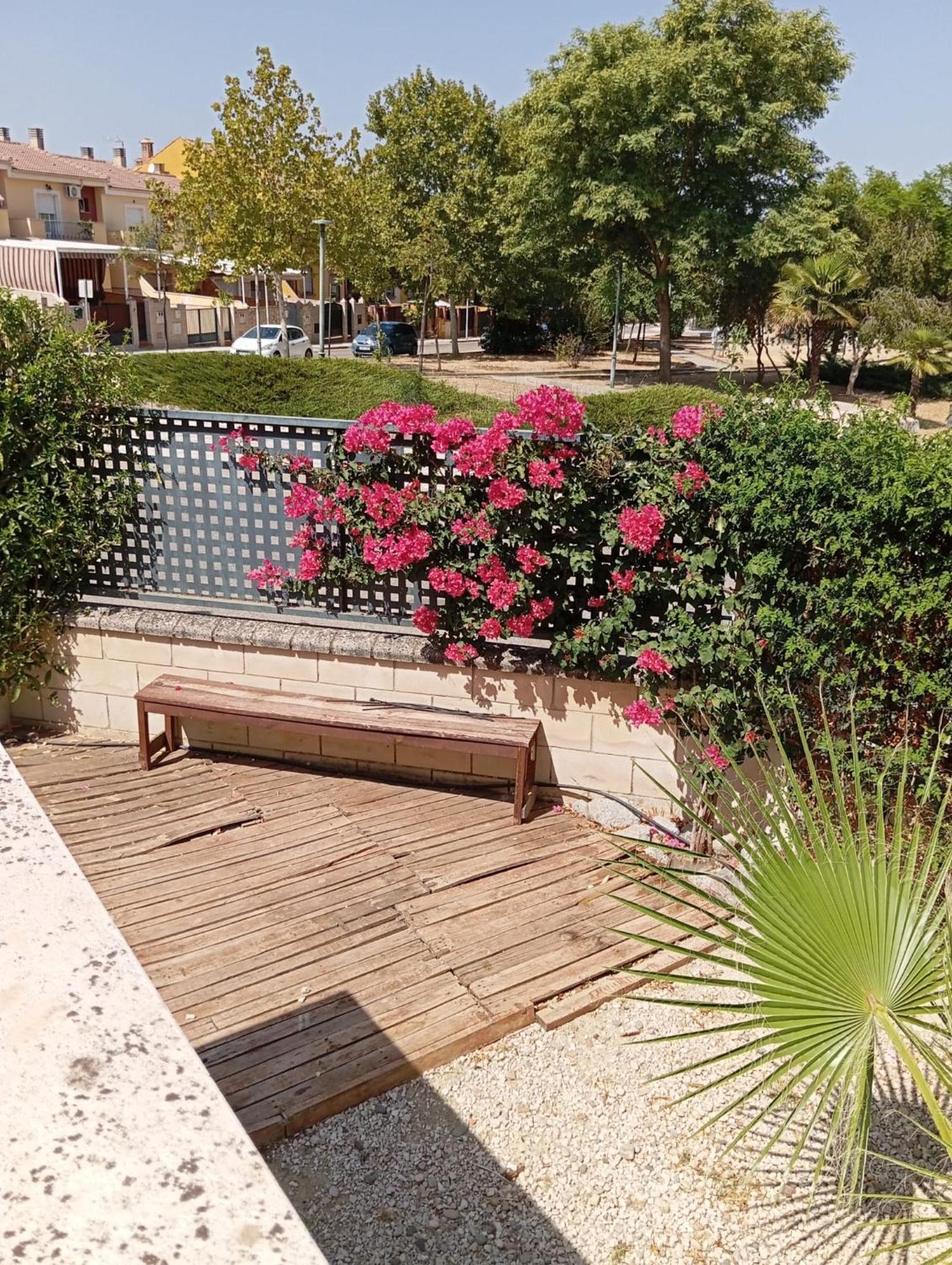 Apartamentos Turisticos Las Cinco Joyas Linares  Eksteriør bilde